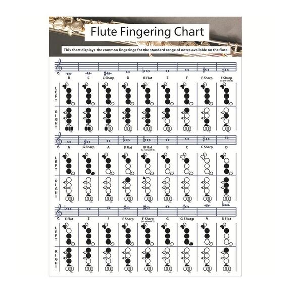 Flauto in carta patinata Diteggiatura degli accordi Diteggiatura degli accordi Personale grafico Diteggiatura degli accordi (piccola)