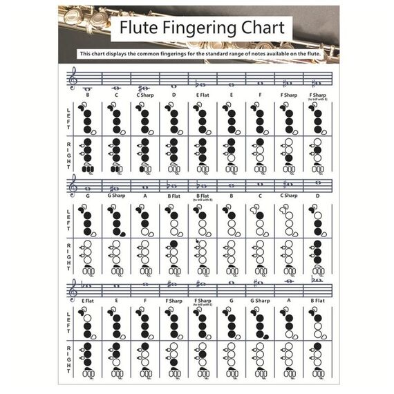 Flauto in carta patinata Diteggiatura degli accordi Diteggiatura degli accordi Personale grafico Diteggiatura degli accordi (grande)