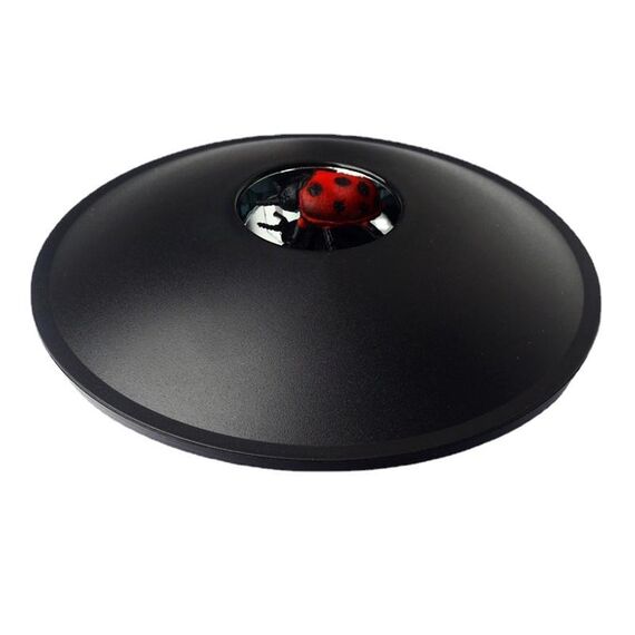 3D Mirascopel Visual Illusion Box Proiezione olografica ottica Imaging fisico Giocattoli scientifici educativi (Coccinella)