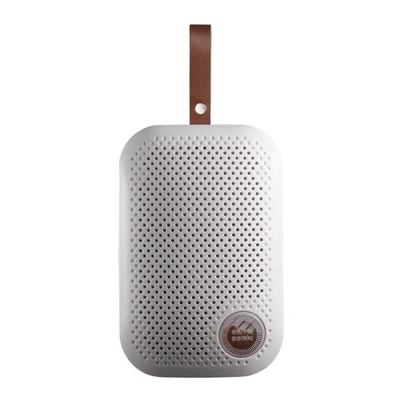Mini deumidificatore da 20 W per la casa, il bagno, l'essiccatore, l'assorbitore di umidità, la spina americana