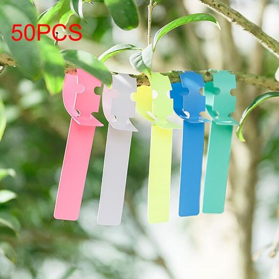 Etichetta impermeabile da 50 pezzi Etichetta floreale per piante Etichetta da giardinaggio, consegna a colori casuali