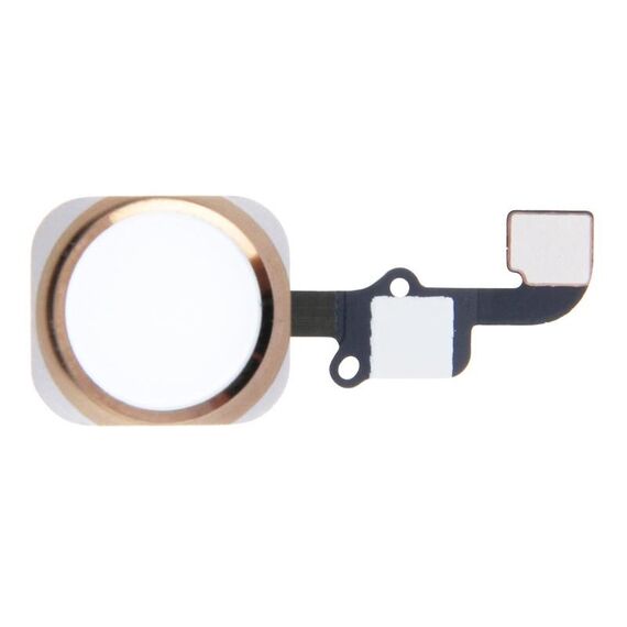 Cavo flessibile tasto home per iPhone 6 e 6 Plus, non supporta l'identificazione dell'impronta digitale (oro)