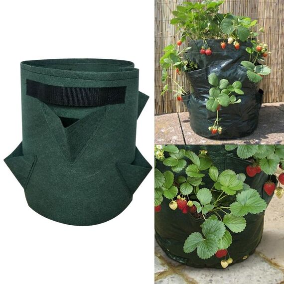 3 tasche 18L / 5 galloni borsa per piantare fragole in feltro non tessuto, dimensioni: 23 x 28 cm (verde)