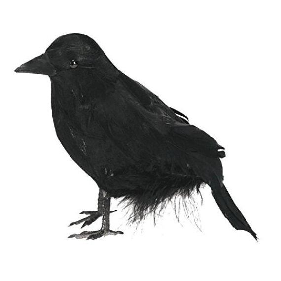 Decorazioni di Halloween Corvo ornamenti Simulazione Crow
