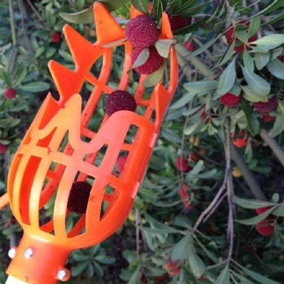 Plum Date Apricot Pick Fruit Plastic Tool (arancione)