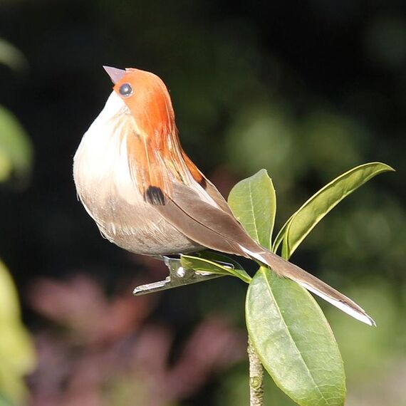 Simulazione Passero Simulazione Piuma Schiuma Uccello Decorazione orticola Consegna a colori casuale