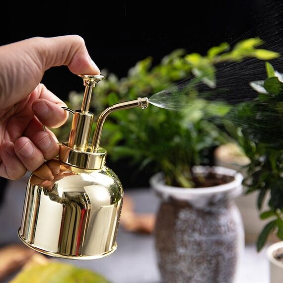 Vintage Brass Gardening Meaty Piccolo annaffiatoio Can