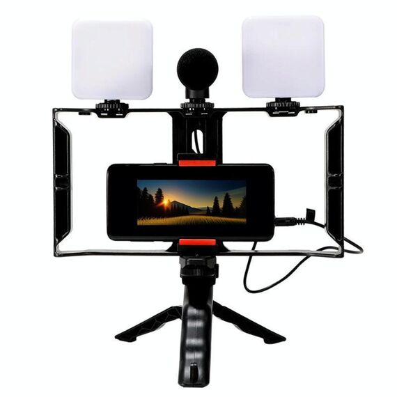 Kit video per smartphone con luce di riempimento a LED e microfono, streaming live mobile all-in-one (AY-49X)