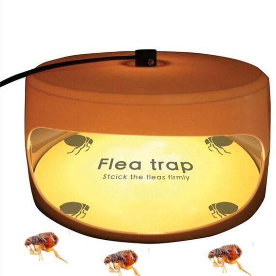 Lampada antipulci domestica per animali domestici, tipo di spina: spina JP