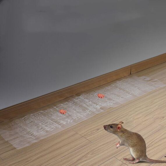 Mouse appiccicoso trasparente con bordo appiccicoso anti-roditore con colla trappola per topi