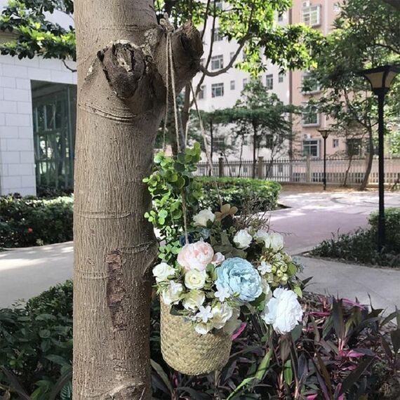 SDTGP5 Cesto sospeso per fiori succulenti