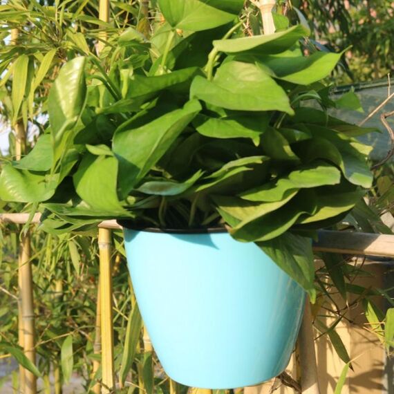 Fioriera autoirrigante Coltiva piante Vasi da fiori pigri Vasi da fiori rotondi in plastica da appendere a parete, dimensioni: 18x12,5x16cm (blu)