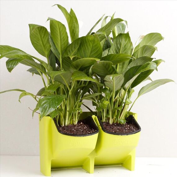 Vasi da fiori a parete per balcone verticale per interni ed esterni da parete per piante Combinazione creativa di vasi da fiori in plastica in resina con vaso rimovibile (verde)