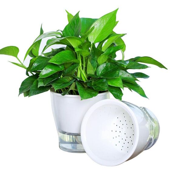 2 PCS Pentole idroponiche completamente trasparenti Pentole idroponiche Livello d'acqua Visibile Colla non rotta Pentole di plastica autoassorbente Pentole di plastica, Dimensioni: W09 calibro 17.5 cm (trasparenza completa)