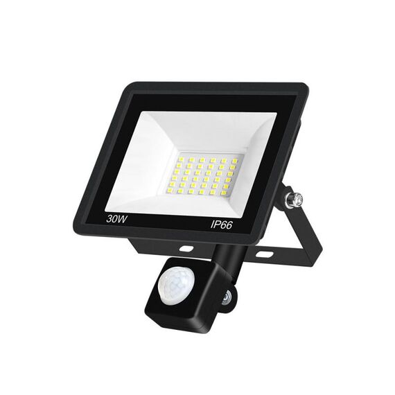 30W PIR Spotlight Spotlight Project Outdoor Project Light Garden Garden a risparmio energetico Proiettore, Stile: (luce bianca fredda)