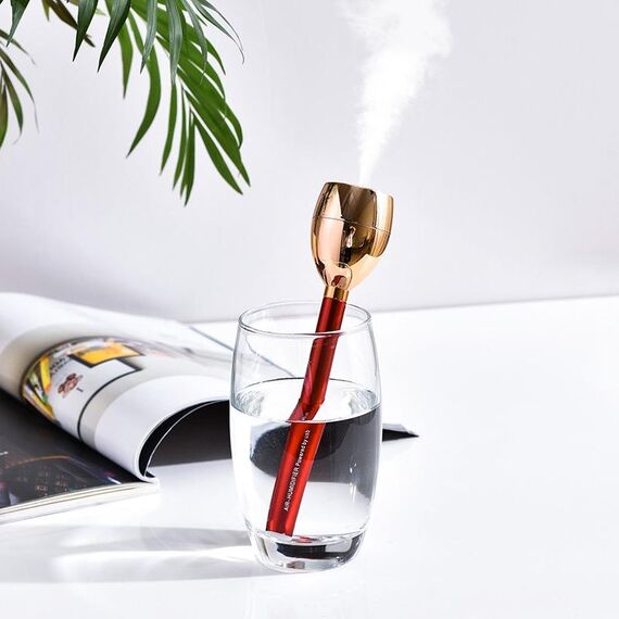 Atomizzatore di bottiglia di acqua minerale minerale portatile RD603 (603-5)