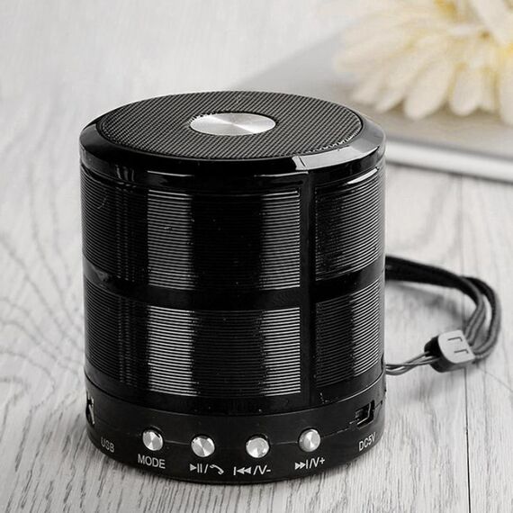 WS-887 Altoparlante Bluetooth con cordino, supporto Call & FM & U Disk & TF Hands-free Call & Ux (Black)