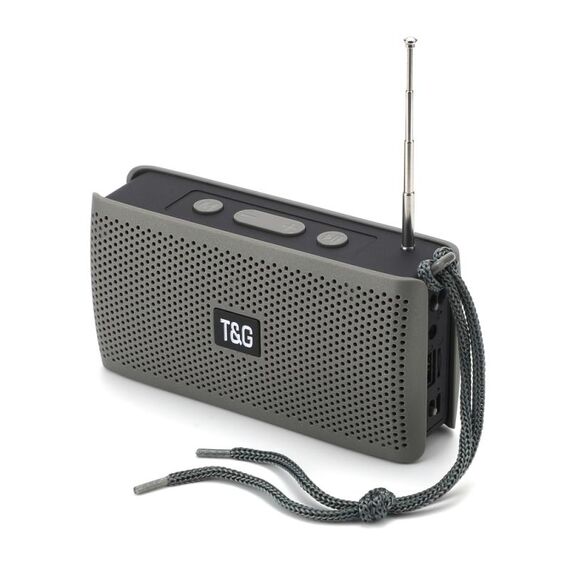 Altoparlanti Bluetooth portatili T&G TG282 con torcia, supporto TF card / FM / disco AUX / U da 3,5 mm / chiamata in vivavoce (grigio)