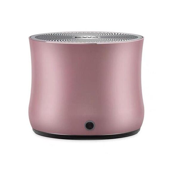 Ewa A2 Pro Altoparlante in metallo Outdoor Impermeabile Bluetooth Sound Bass Altoparlante (oro rosa)
