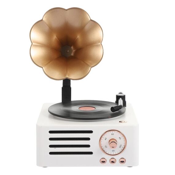 T15 Petunia Retro Vinyl Record Player Multifunzione wireless Mini Bluetooth audio (bianco)