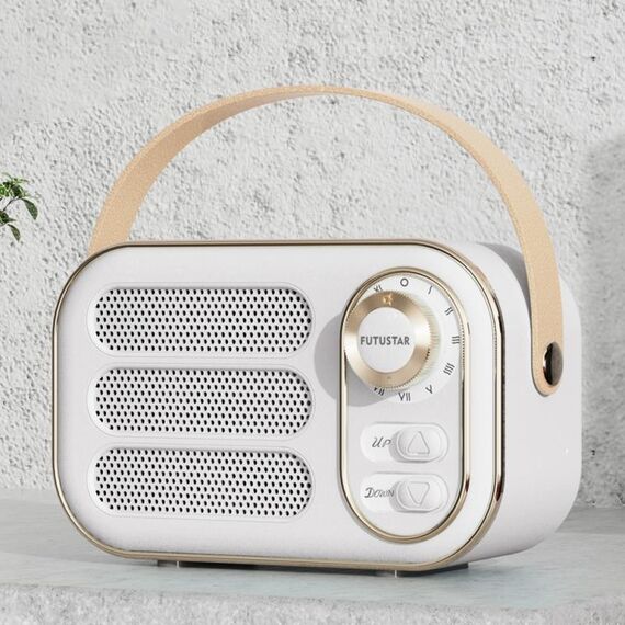 DW13 Hifi Portable Mini retrò retrò altoparlante Bluetooth (bianco)