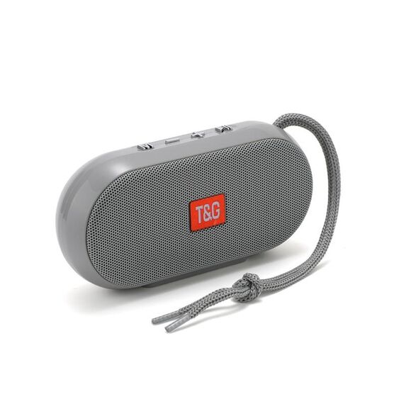 T&G TG179 Altoparlante Bluetooth wireless multifunzionale esterno Supporto USB / TF / FM (grigio)