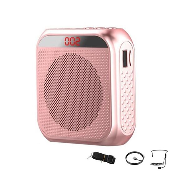S17 Mini Guida turistica portatile Altoparlante didattico con schermo (oro rosa)