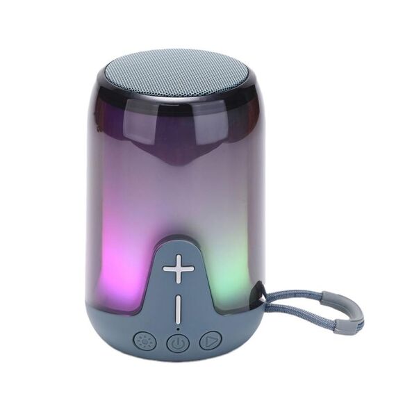 T&G TG-652 Altoparlante Bluetooth portatile trasparente con luce RGB (grigio)