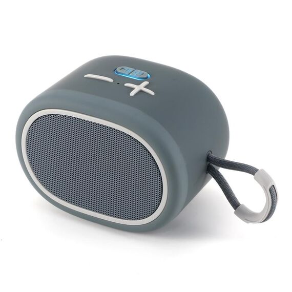 T&G TG662 Altoparlante Bluetooth wireless con subwoofer portatile (grigio)