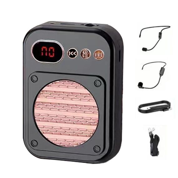 S25 Mini Bluetooth Guida per insegnanti Altoparlante Bancarelle che vendono altoparlanti, Colore: 2.4G Wireless Nero