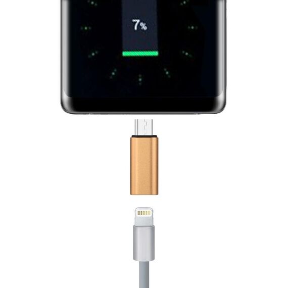 Adattatore a guscio metallico maschio da 8 pin femmina a USB-C / tipo C, Adattatore con guscio in metallo maschio da 8 pin femmina a USB-C / tipo C (oro)
