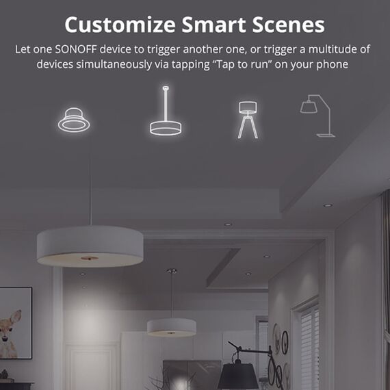 Interruttore intelligente WIFI Sonoff a doppio controllo TBD05575794 6922225488398
