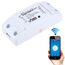 Sonoff 433MHz WiFi smart remote control timer, interruttore per smart home supporta iOS/Android LED3516 6922882936304
