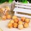 Set 5 palline di legno antimuffa e antitarme con canfora naturale TBD01442334 6922261729993
